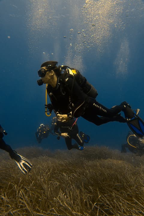 Foto Diving Chia: Sopra la prateria di posidonia. Il polmone verde del Mediterraneo, e tu che lo sorvoli.