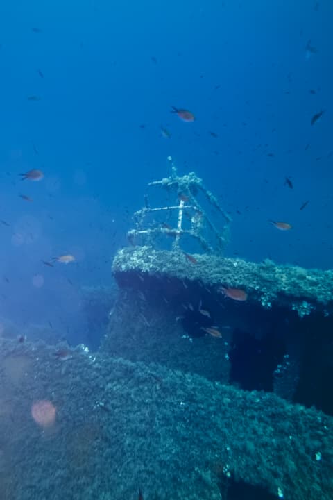 Foto Diving Chia: La prua coperta di vita. Ogni ruggine ospita un piccolo ecosistema.