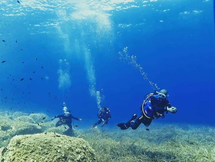 Foto Diving Chia: In fila indiana sopra la posidonia. Una formazione che sa di squadra.